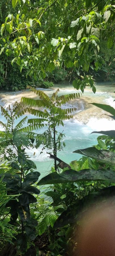 Komfort Getaway Villa At Countrymist Ocho Rios Esterno foto