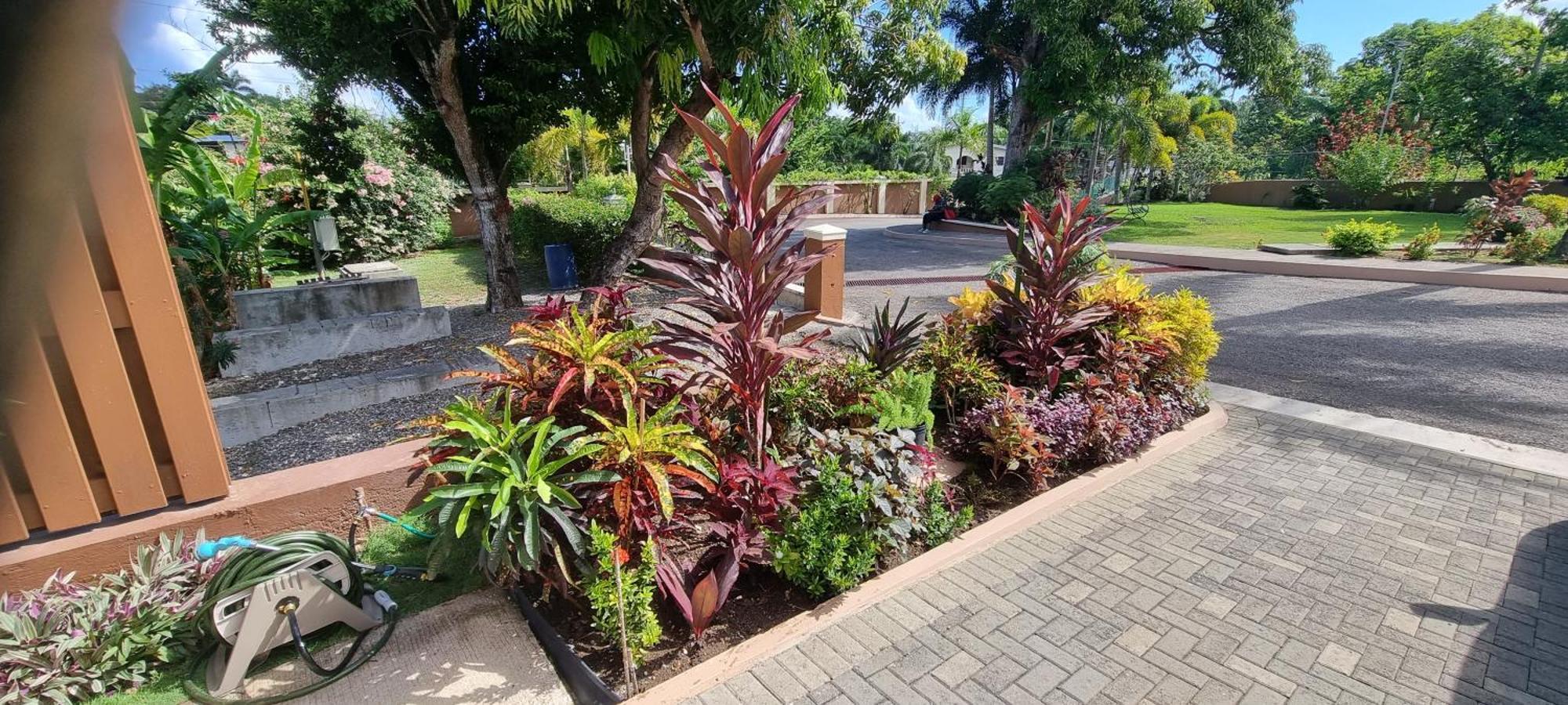 Komfort Getaway Villa At Countrymist Ocho Rios Esterno foto